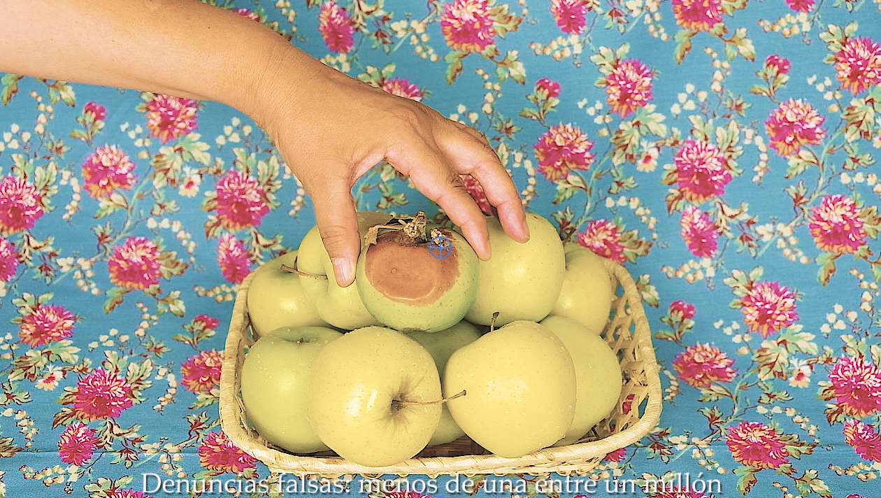 Captura de pantalla 2019-07-28 a las 13.24.49.png